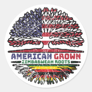 Zimbabwe Zimbabwean US American USA United States Classic Round Sticker