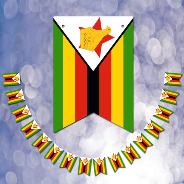 Zimbabwean Flag & Party Zimbabwe Banners /Weddings (Creator Uploaded)