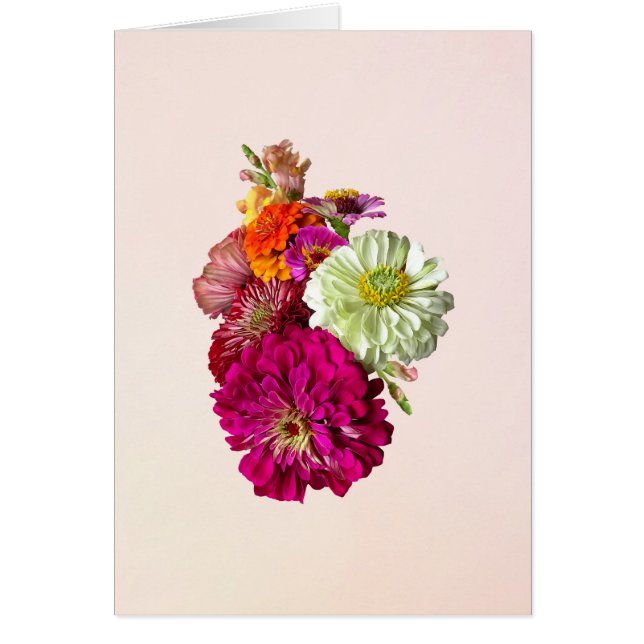 Zinnia Bouquet Mixed Colours (Front)