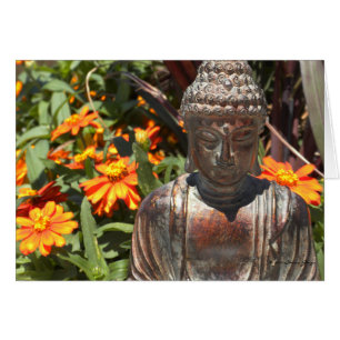 Zinnia Buddha Card
