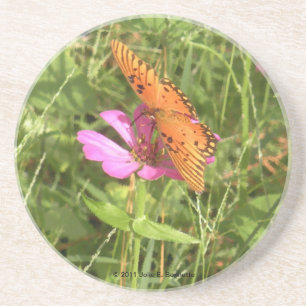 Zinnia & Butterfly Coaster