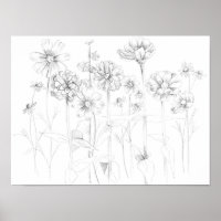 Zinnia Cosmos Flowers Pencil Drawing Botanical