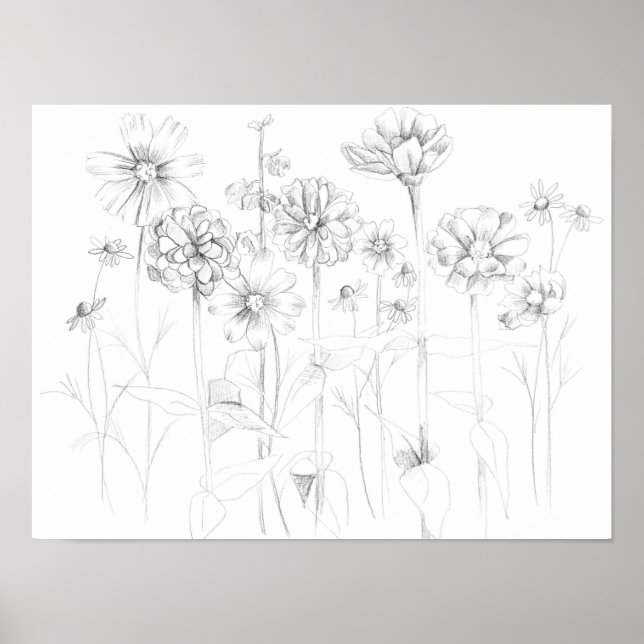 Zinnia Cosmos Flowers Pencil Drawing Botanical Poster (Front)