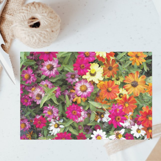 Zinnia Flower Garden Floral Tissue Paper (In Situ)