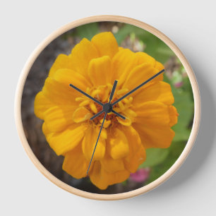 Zinnia Flower Photo Wall Clock