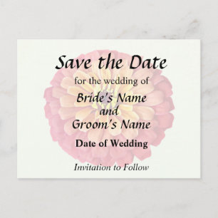 Zinnia in Shades of Orange Announcement Postcard