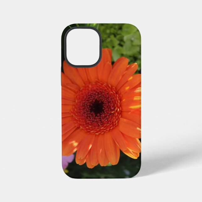 Zinnia iPhone Case (Back)