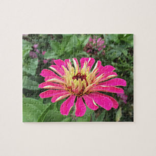 ZINNIA - Vibrant Pink and Cream - Jigsaw Puzzle