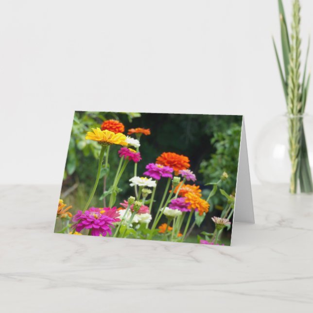 "Zinnias 5." Greeting Card (Front)