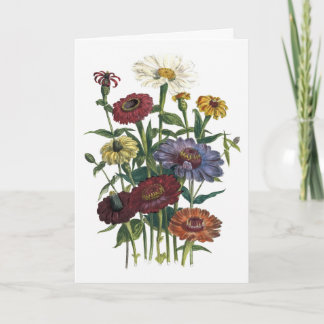 Zinnias Watercolor Get Well Soon Card