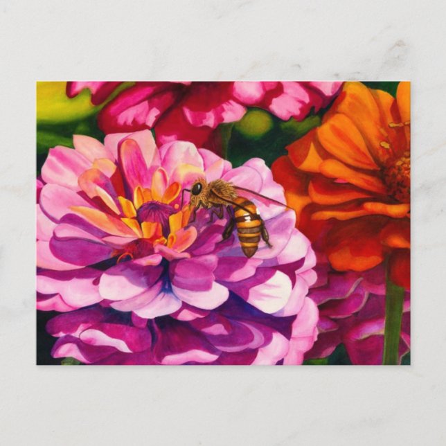 Zinnias with worker bee postcard (Front)