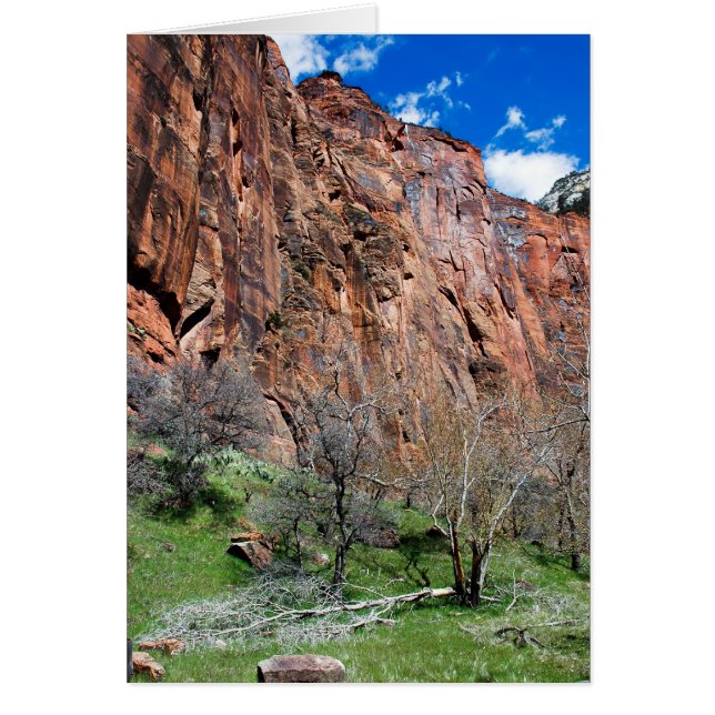 Zion Canyon (Front)