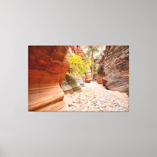 Zion Canyon Slot Canvas Print