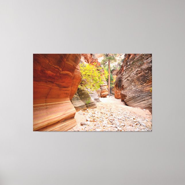 Zion Canyon Slot Canvas Print (Front)