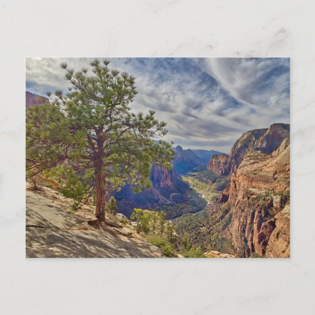 Zion Canyon View from Angels Landing Postcard (Front)