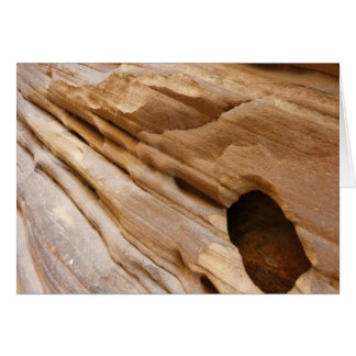 Zion Canyon Wall I Abstract Nature Photography