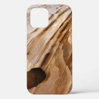 Zion Canyon Wall I Abstract Nature Photography iPhone 12 Case