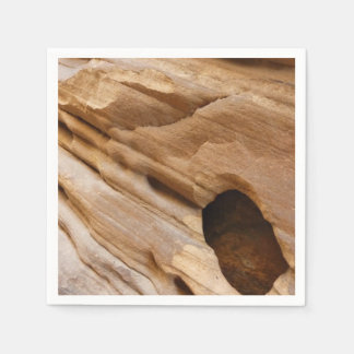 Zion Canyon Wall I Abstract Nature Photography Napkin