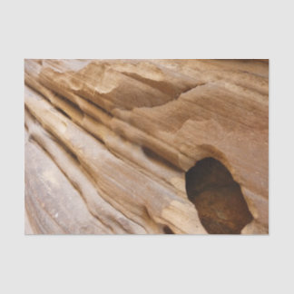 Zion Canyon Wall I Abstract Nature Photography Tissue Paper