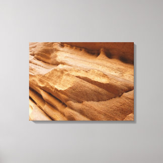 Zion Canyon Wall II Red Rock Abstract Photography Canvas Print