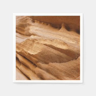 Zion Canyon Wall II Red Rock Abstract Photography Napkin