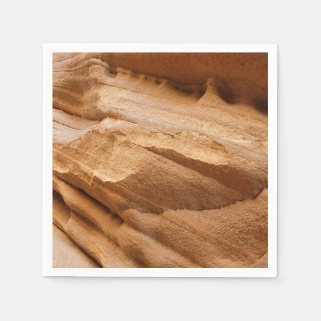 Zion Canyon Wall II Red Rock Abstract Photography Napkin (Front)