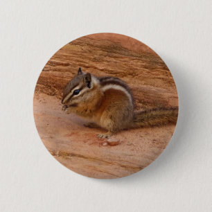 Zion Chipmunk on Red Rocks 6 Cm Round Badge
