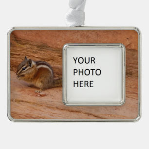 Zion Chipmunk on Red Rocks Silver Plated Framed Ornament