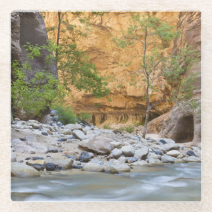 Zion Narrows Glass Coaster