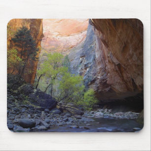 Zion Narrows Mouse Pad