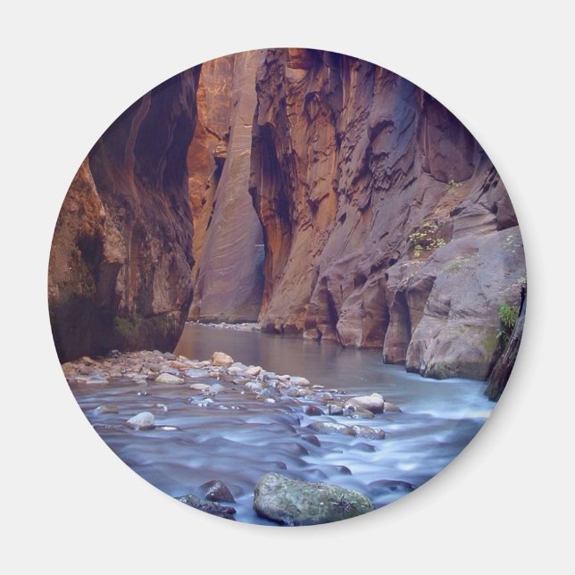 Zion Narrows National Park Magnet (Front)