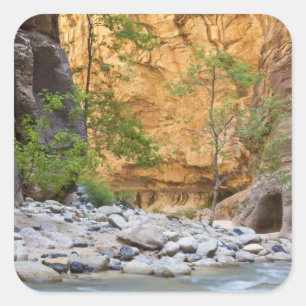 Zion Narrows Square Sticker