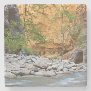 Zion Narrows Stone Coaster