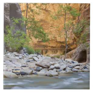 Zion Narrows Tile