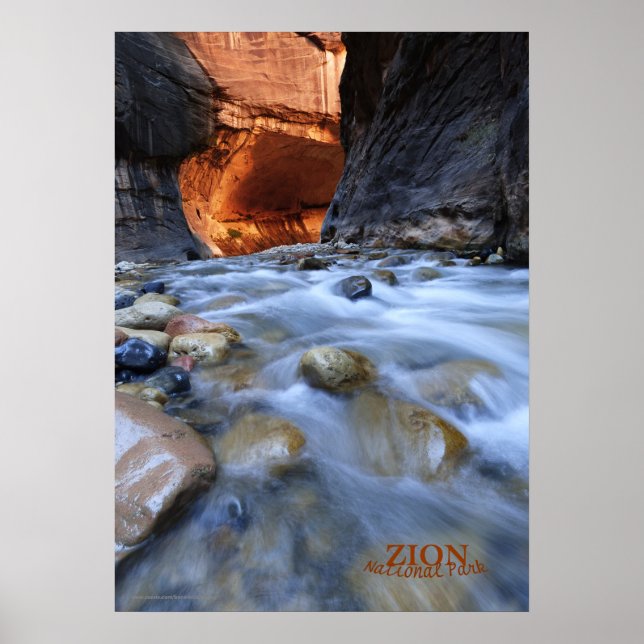 Zion National Park Narrows Matte Poster (Front)