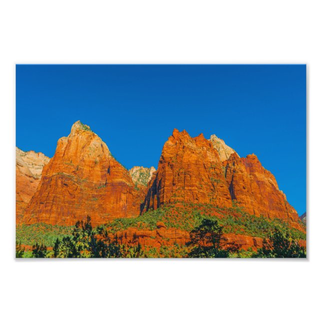 Zion National Park Photo Print (Front)