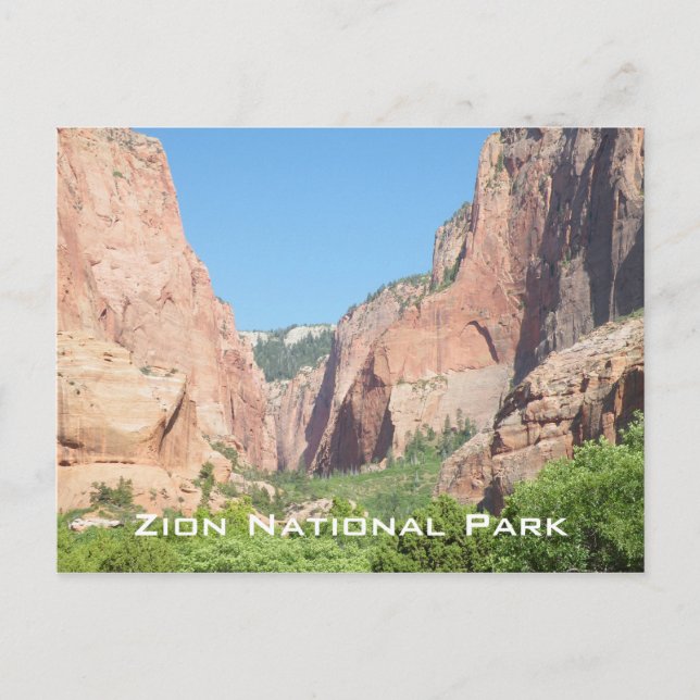 Zion National Park Postcard (Front)