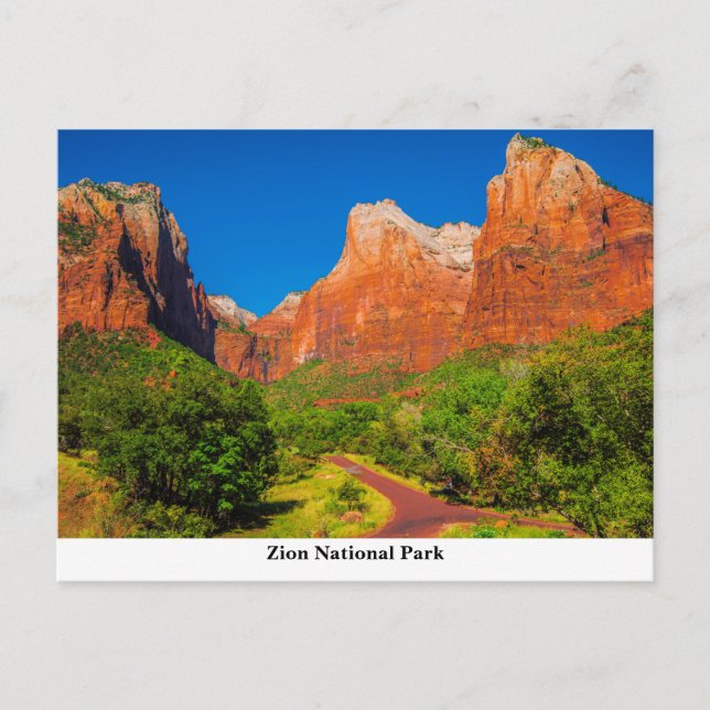 Zion National Park Postcard (Front)