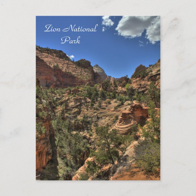 Zion National Park Postcard (Front)