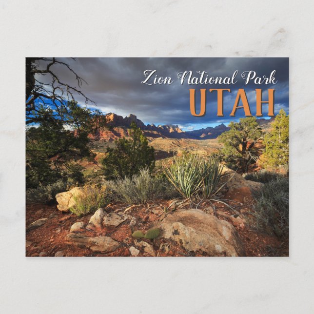 Zion National Park Postcard (Front)
