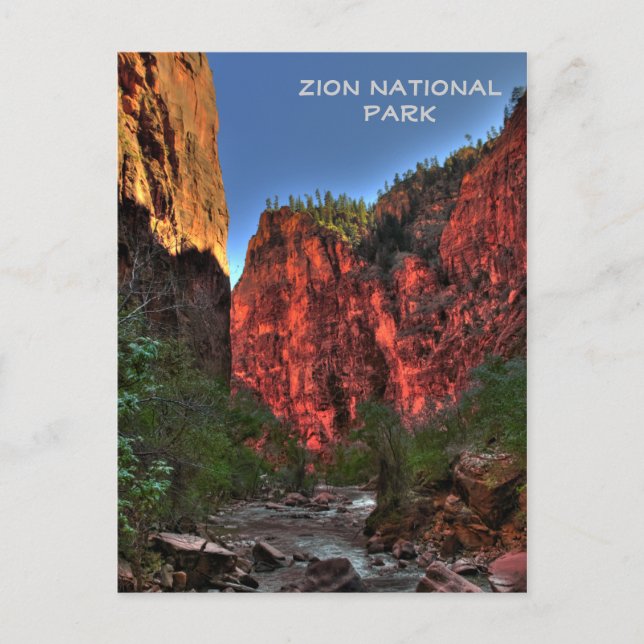 Zion National Park Postcard (Front)