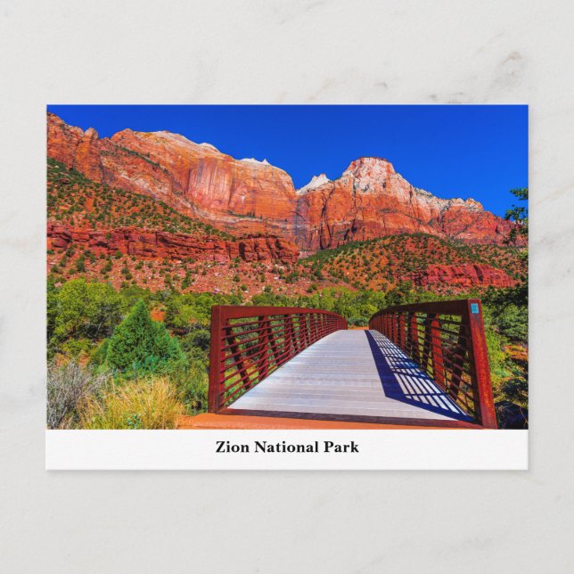 Zion National Park Postcard (Front)