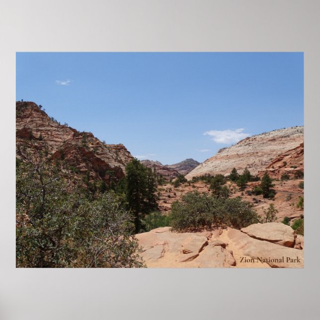 Zion National Park Poster (Front)
