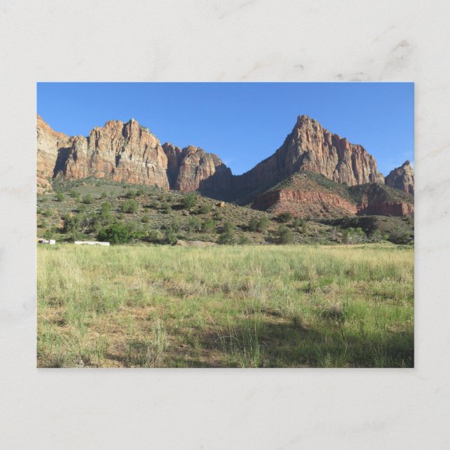 Zion National Park USA Postcard (Front)