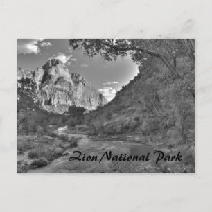 Zion National Park, UT Postcard
