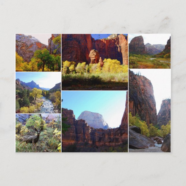 Zion National Park, Utah, Collage Postcard (Front)