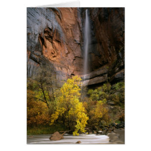 Zion National Park, Utah. USA. Ephemeral
