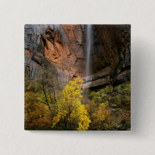 Zion National Park, Utah. USA. Ephemeral 15 Cm Square Badge