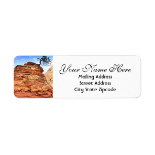 Zion Tree Return Address