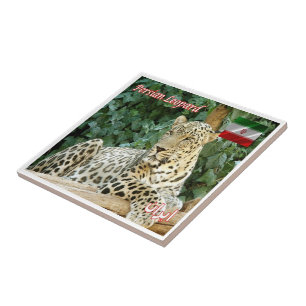 zIR006 PERSIAN LEOPARD, Iran, Asia, Tile